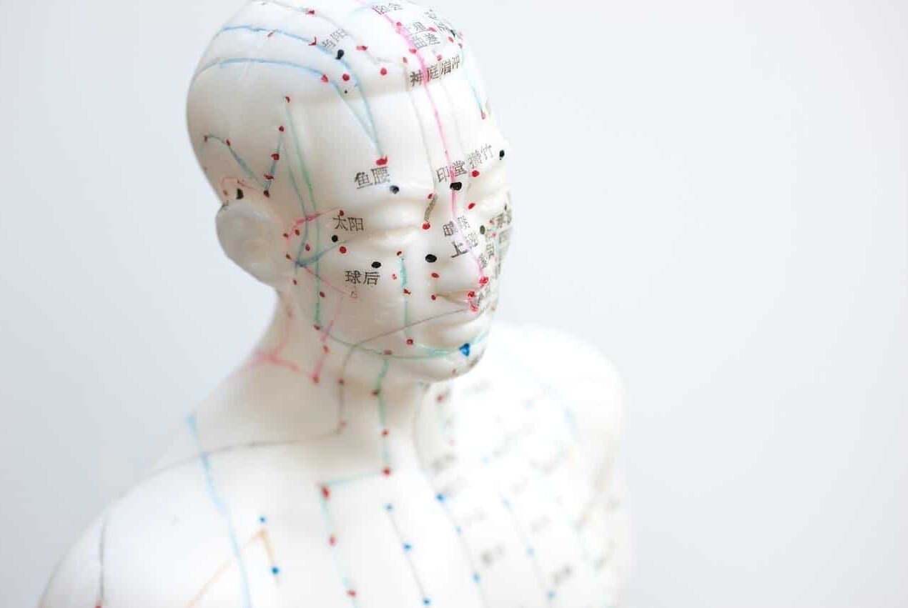 Quels sont les 12 points d’acupuncture ?